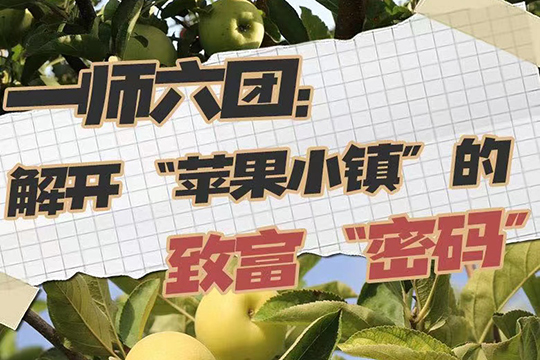 一師六團：解開“蘋果小鎮”的致富“密碼”