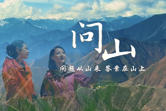 我們的山，綠起來了！